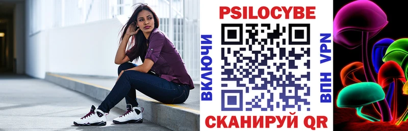 Купить закладки  Барыш  Галлюциногенные грибы Psilocybe 